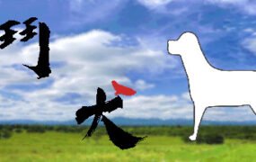 鬥犬/Dog Fighting