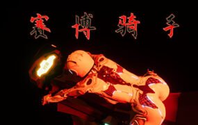 赛博骑手