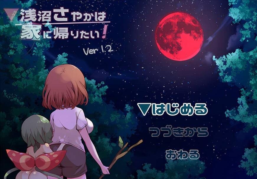 【PC/2D/ADV/汉化】姫様と警備兵+全CG 机翻汉化版【462M】